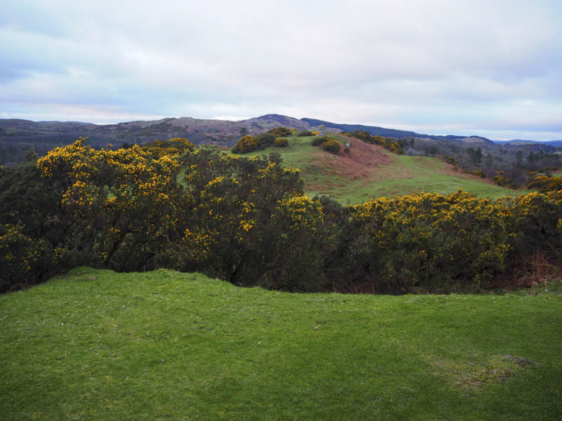 Boreland Hills