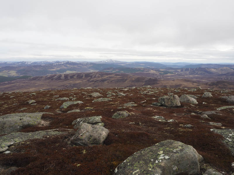 Deeside with Morven in the distance