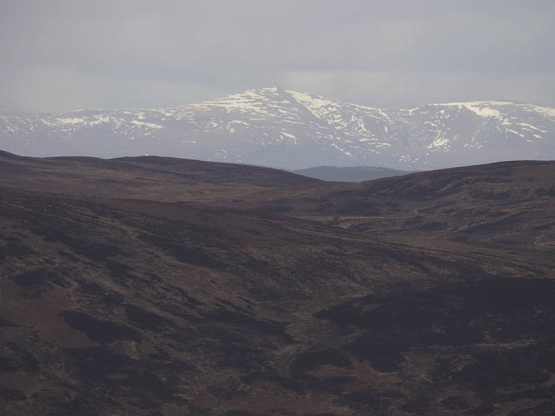 Possibly Ben More Assynt zoomed