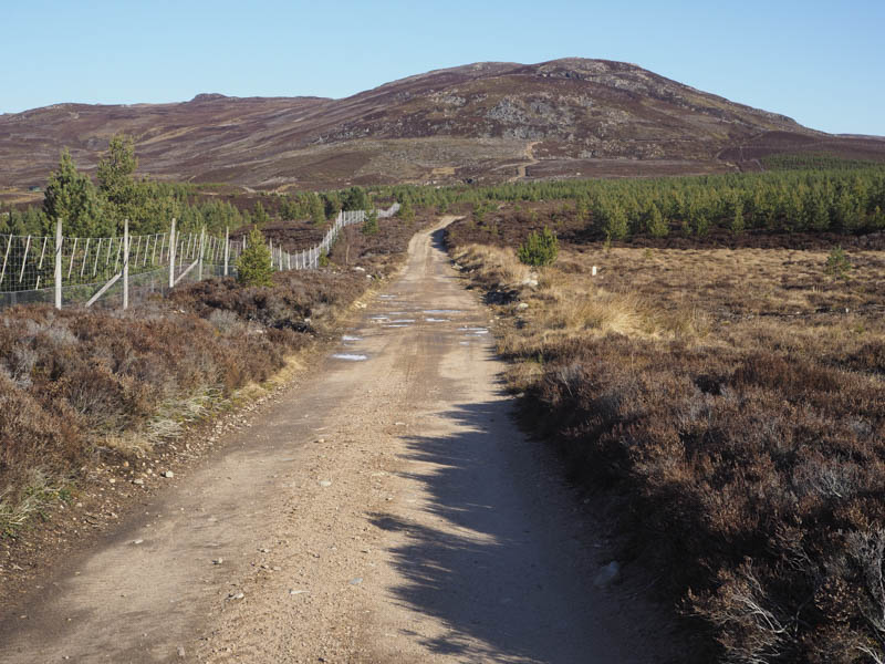 Route to Creag na h-Iolaire