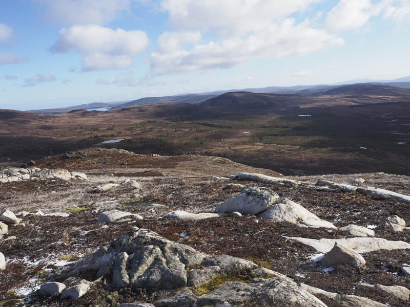 Lochindorb and Carn na Leitire