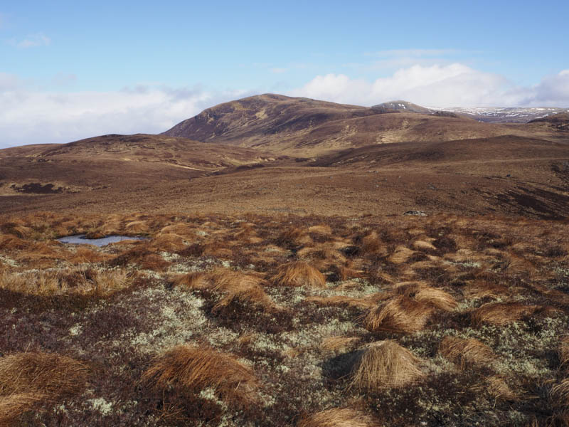 Carn Loch an Tuirc and Little Wyvis