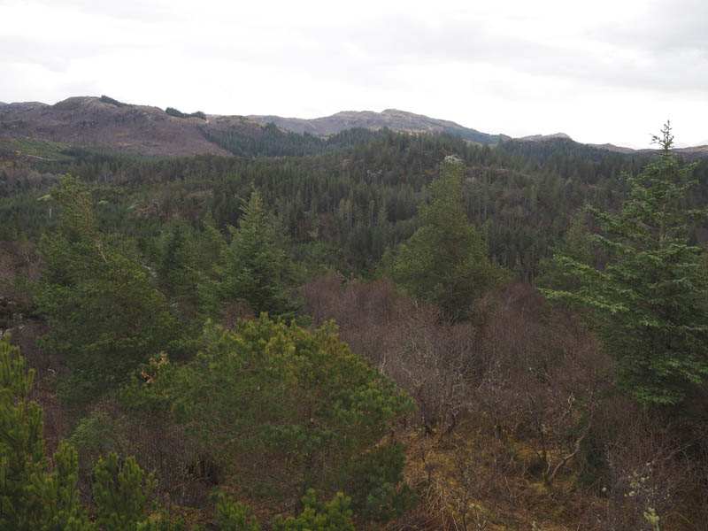 Auchtertyre Hill