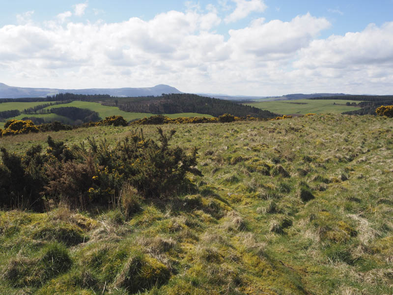 Woodheads Hill. West Lomond beyond