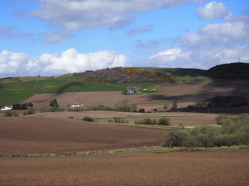 Lindores Hill