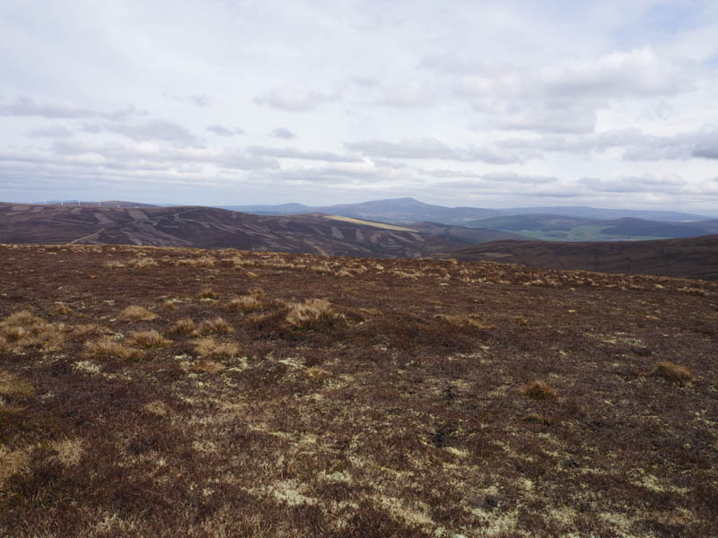 Ben Rinnes in the distance