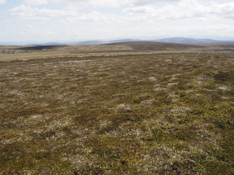 Carn nan Luibean Glas