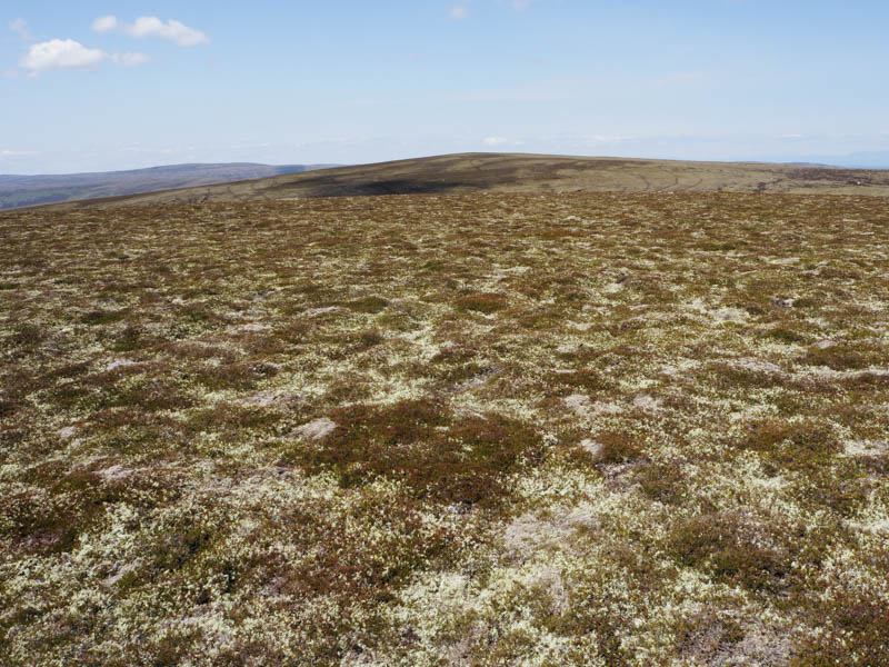 Carn Coire na h-Eirghe