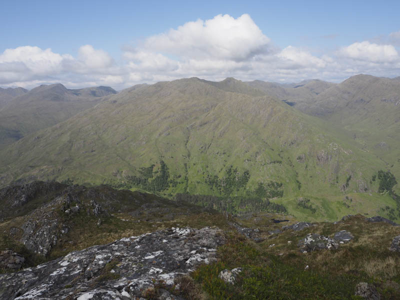 Buidhe Bheinn