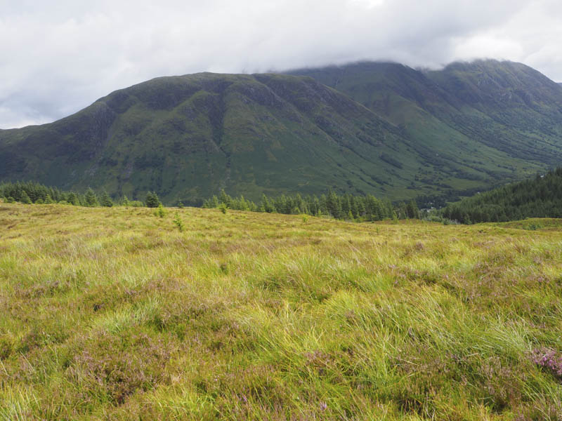 Meall an t-Suidhe and Ben Nevis