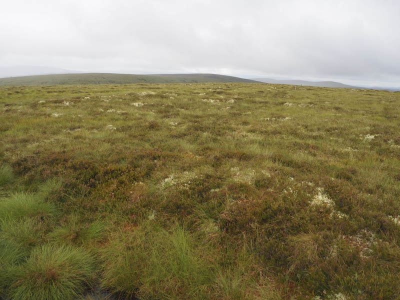 Sliabh Bainneach