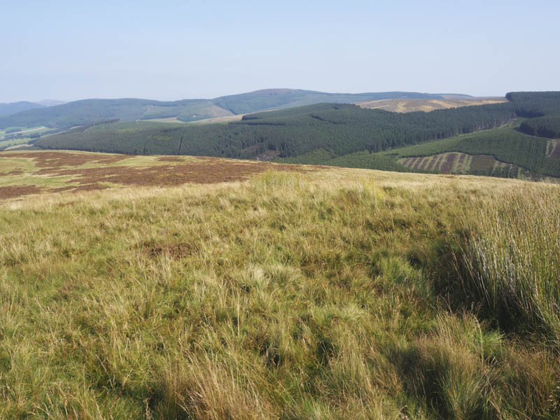 Minch Moor