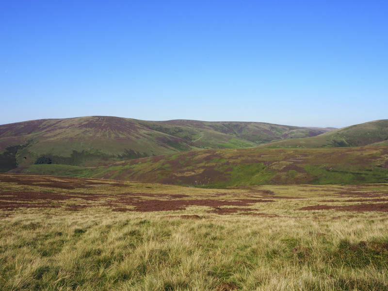 Whitehope Law