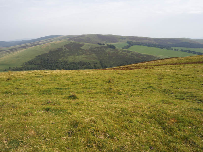 Hamildean Hill