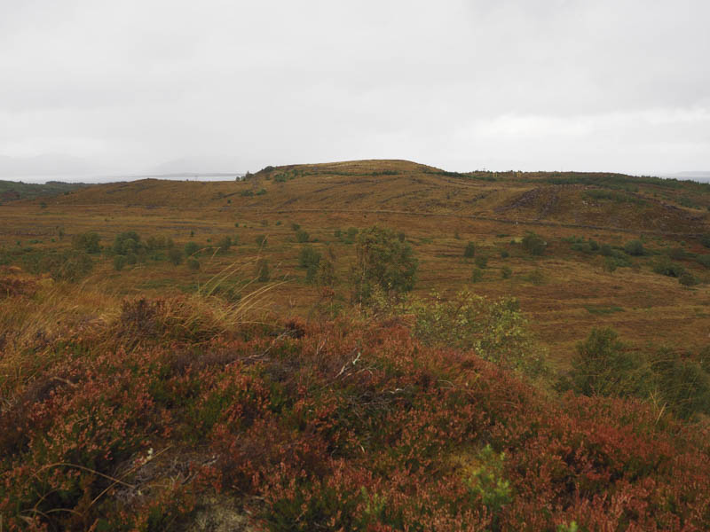 Cnoc a' Mhadaidh-ruaidh