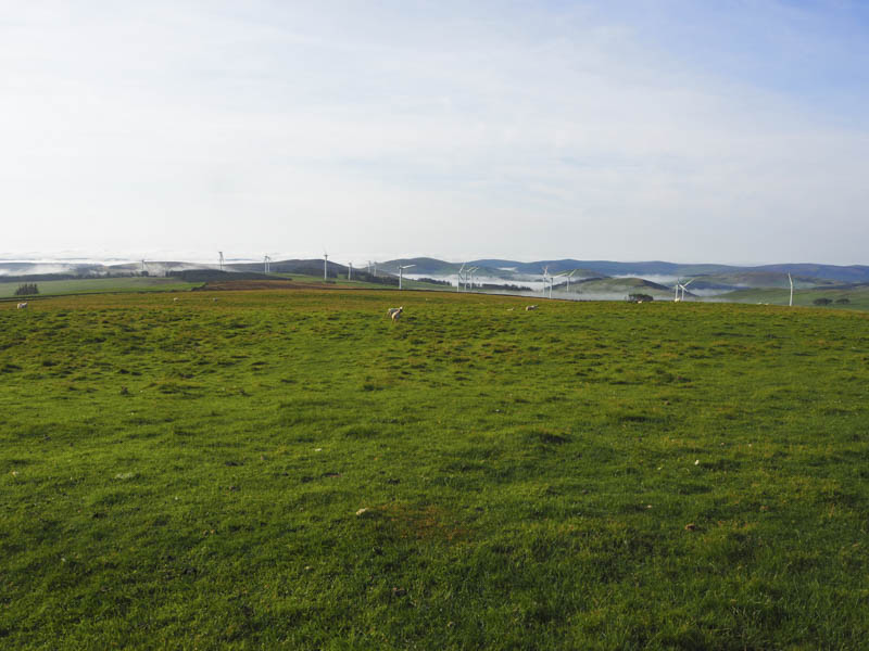 Longpark Wind Farm and Meigle Hill