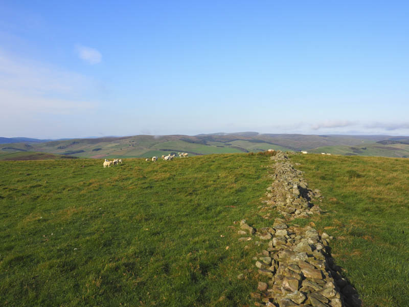 View south-west from Sell Moor Hill
