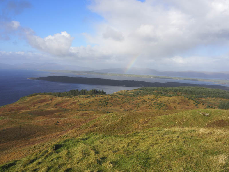 Lynn of Lorn and Lismore