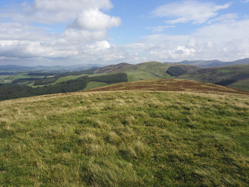 Lamington Hill