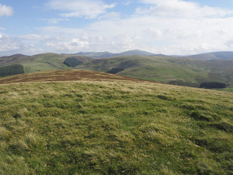 Broad Hill and Culter Fell