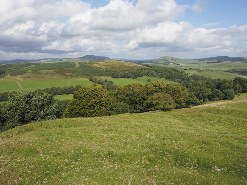 Black Mount and Broomy Law