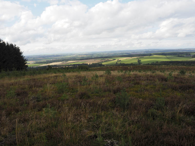 Towards Carnwath