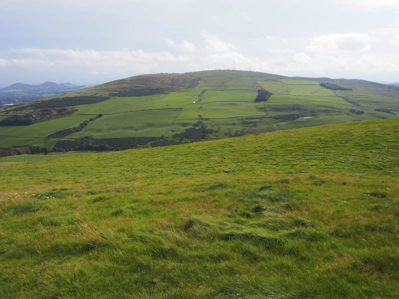 Meigle Hill