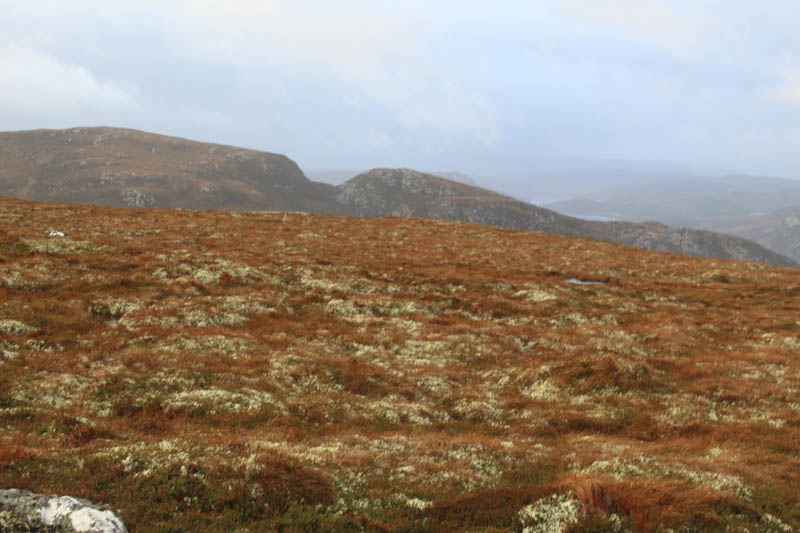 Carn Choire Ruithe and Creag Dhubh Flichity
