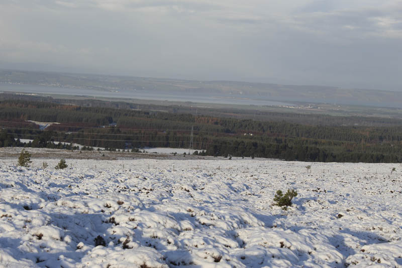 Arderseir and the Moray Firth