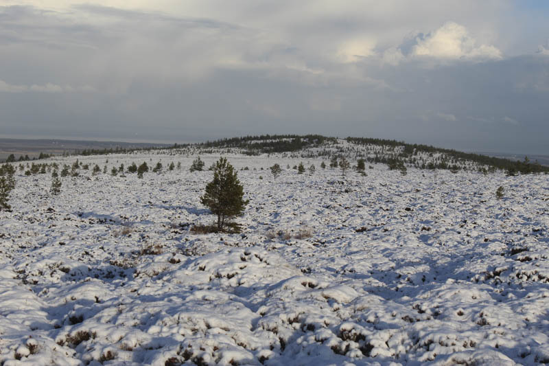 Knoll to south of Creag an Daimh