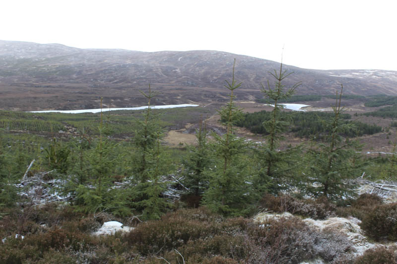 Lochan Fada and Loch nan Cuilc