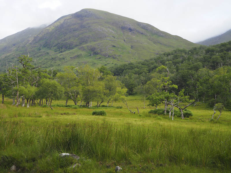 Sgurr an Iubhair