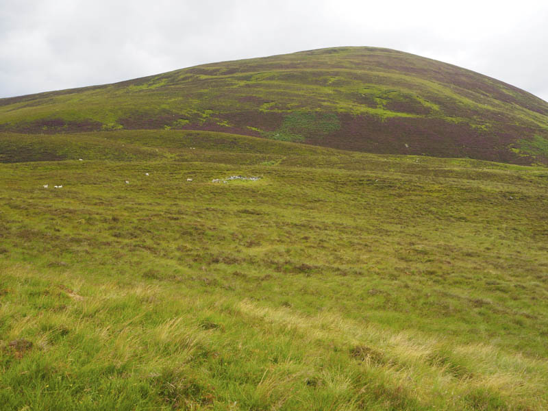 Route to Meall nan Cleireach