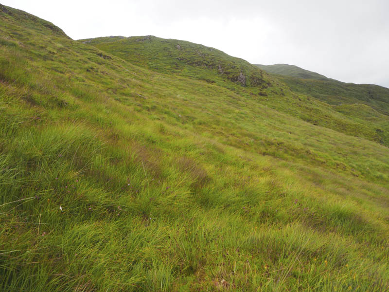 Approach route to summit of A' Bheinn Bhan