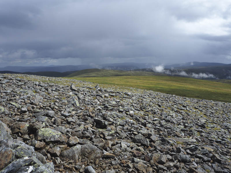 Towards Tom Buidhe