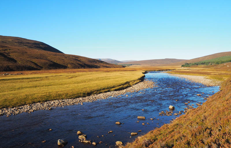 River Dee