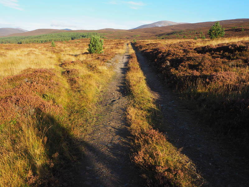 Track towards Carn Elrig Mor