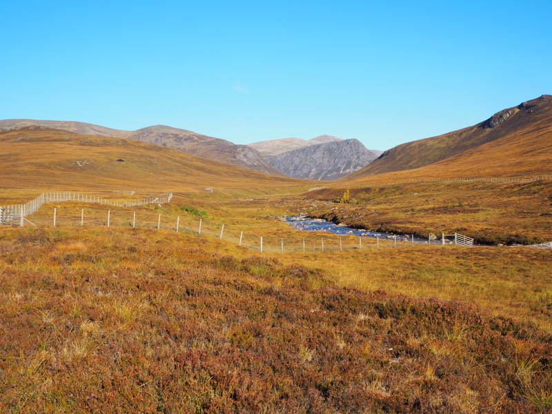 River Dee, Devil's Point and Cairn Toul