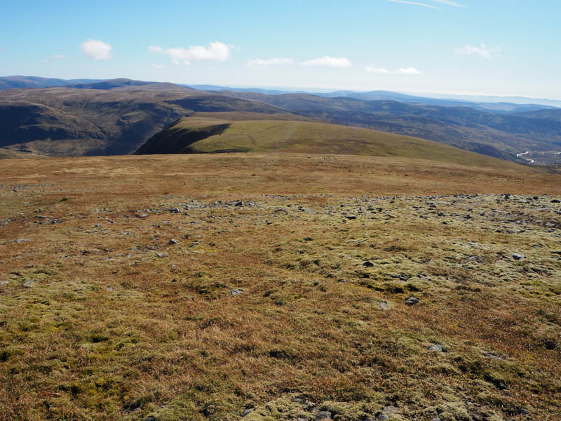 Litlle Glas Maol and Monega Hill