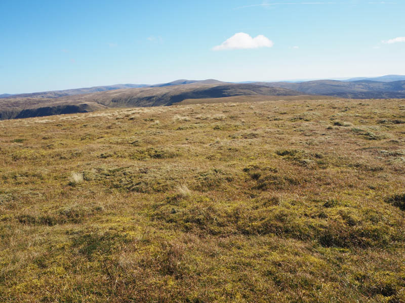 Monega Hill and towards Mayar