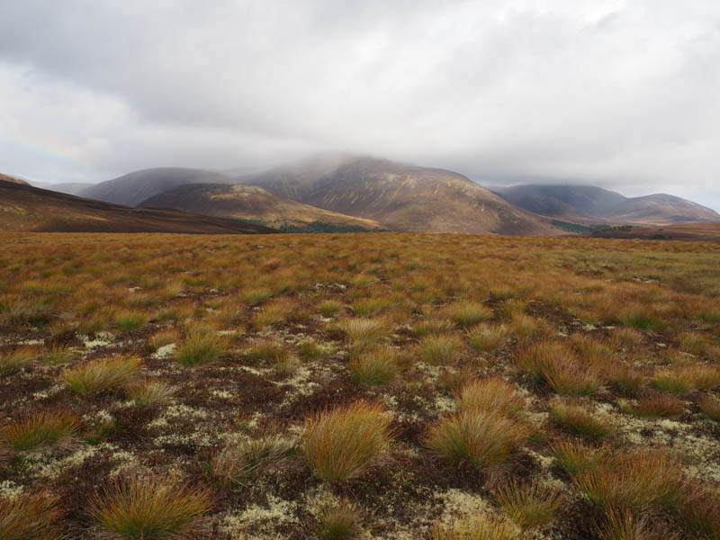 Beinn a' Bhuird