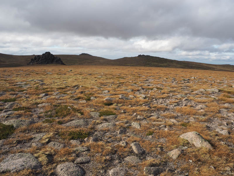 Clach Choutsaich, Stob Bac an Fhurain and West Meur Gorm