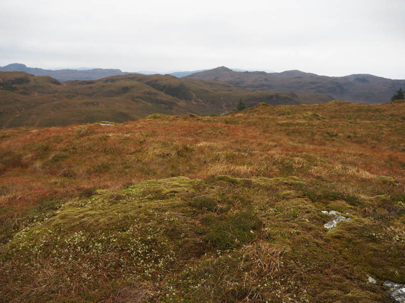 Beinn Conchra in distance