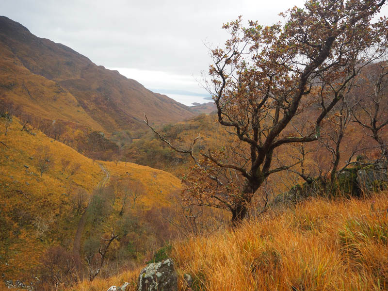 Glen Arnisdale and Loch Hourn