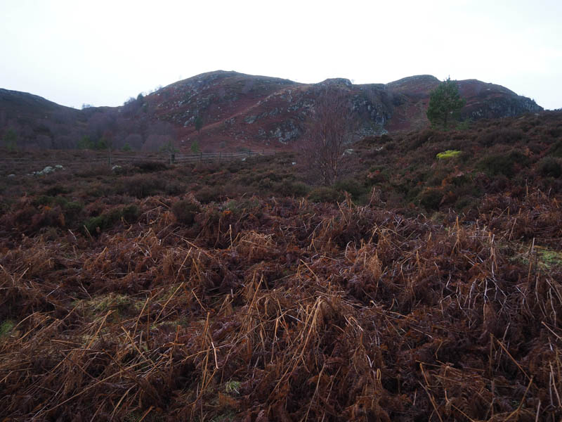 Route towards Creag a' Chaoruinn