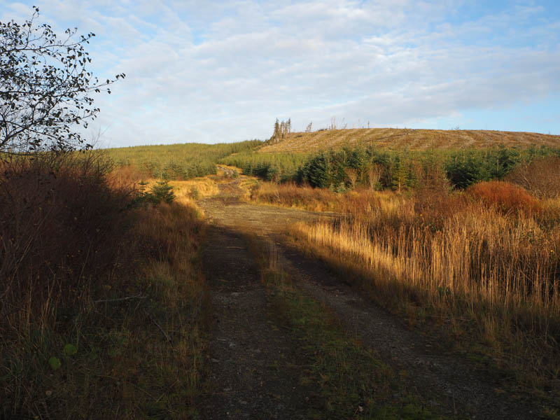 Cnoc na Cachaille