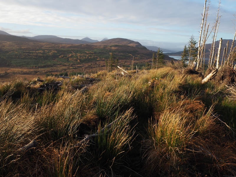 Creag Strollamus and Caolas Scalpay