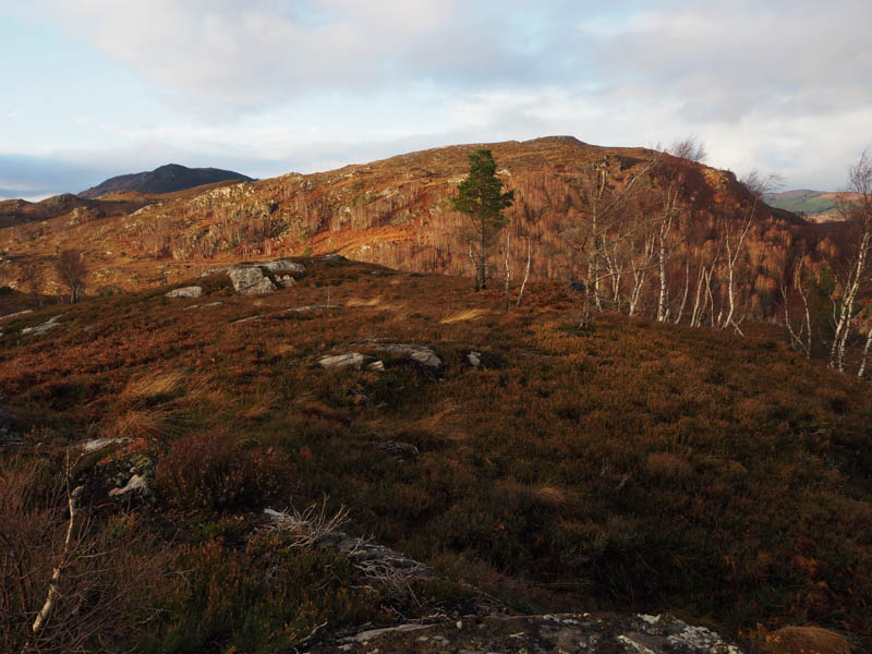 Creag a' Chaoruinn