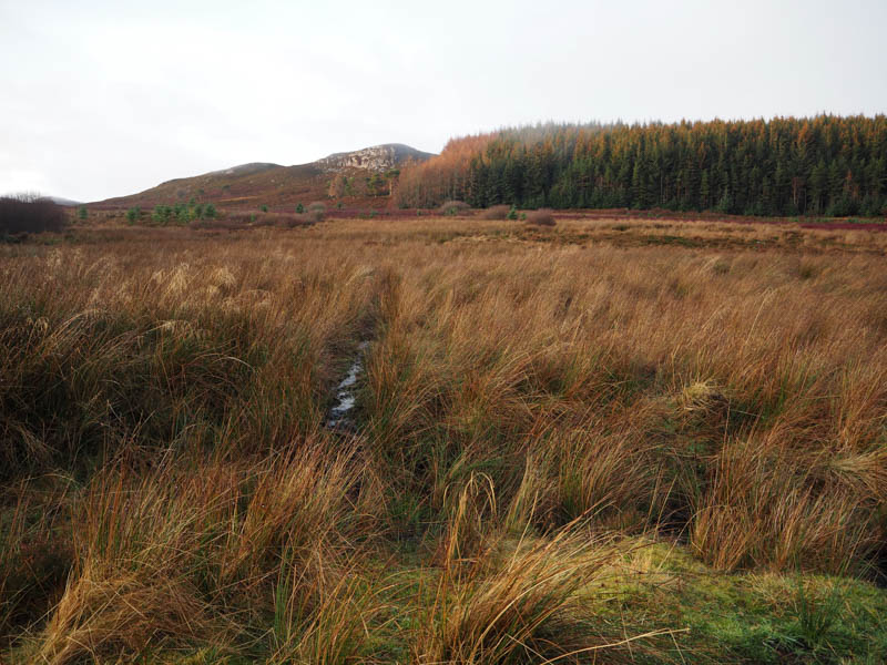 Start of ascent through rushes and soggy ground