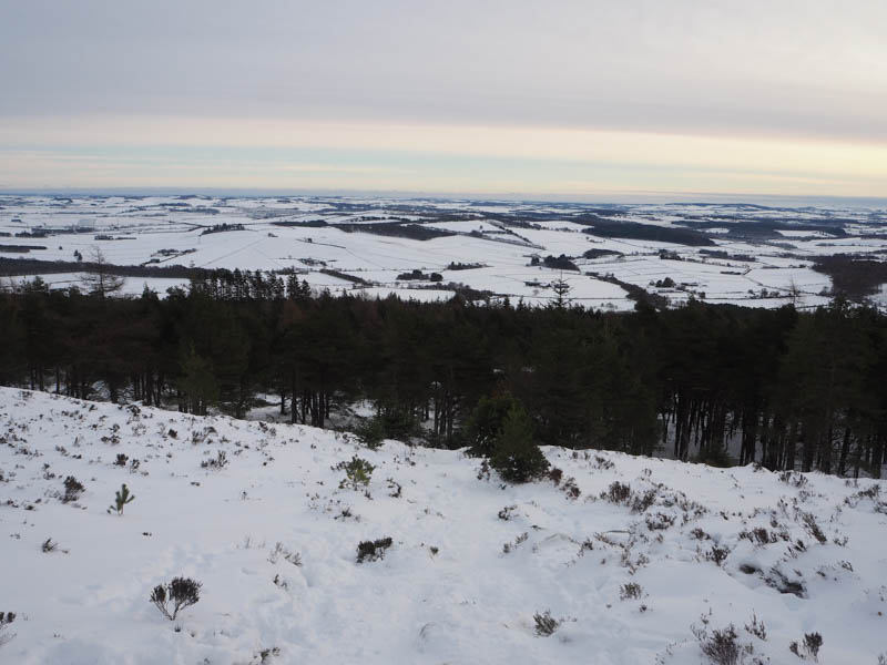 Above the tree line